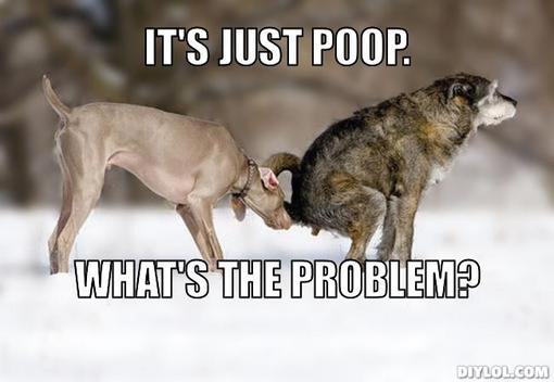 Image result for dog poop meme
