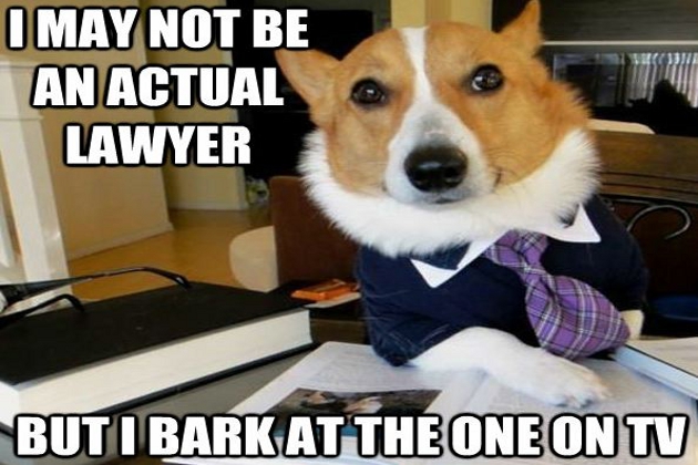 internet lawyer memes