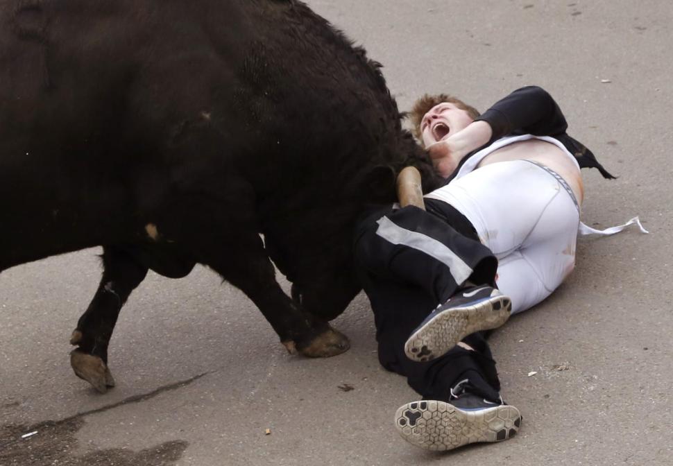 american gored by bull