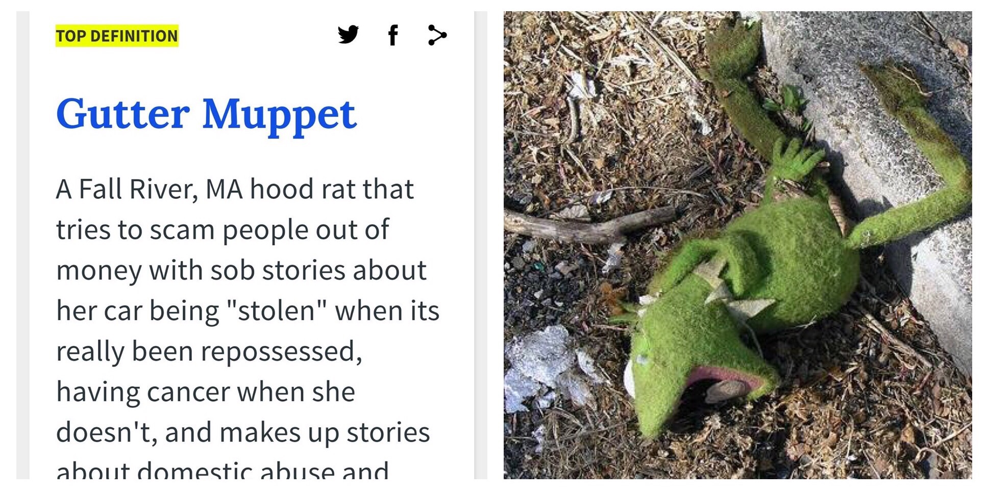 Guttermuppet Making It In To The Urban Dictionary Is Just Proof