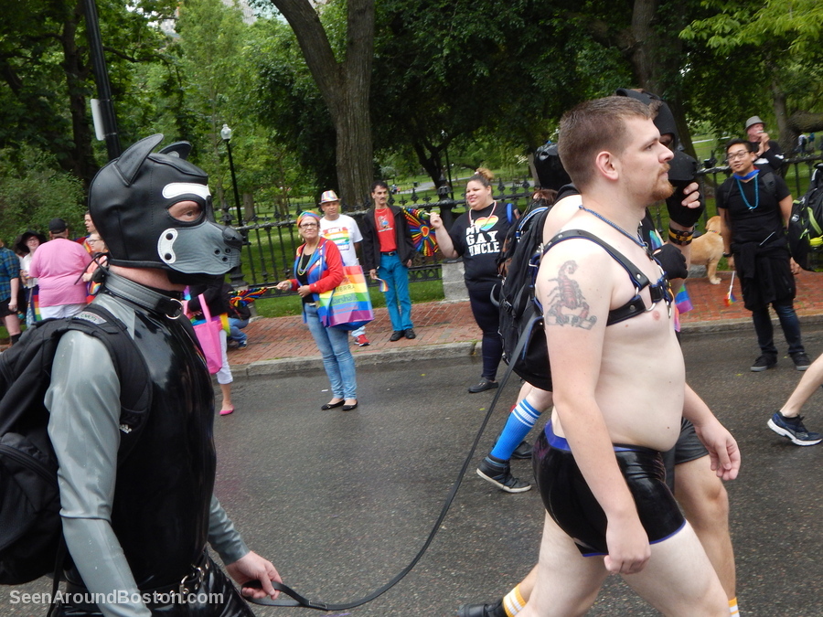 new-england-leather-alliance-dog-man-boston-pride-parade