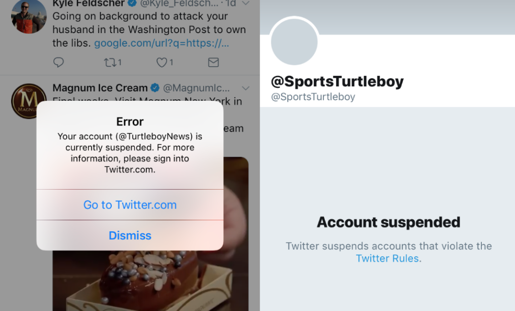 Turtleboy Sports Has Been Silenced, Blacklisted, And Permanently Banned