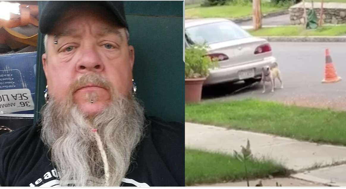 Dumpster Diving Worcester Gravy Stain Leaves Dog Tied To Car Barking All Day, Forces It To Sleep